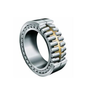 China Supply Roller Bearing