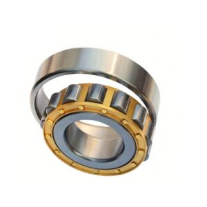 Insulated Roller Bearing