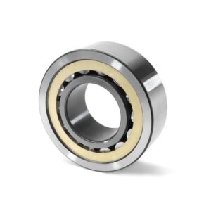 Double Row Spindle Bearing