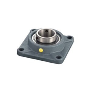 Bearing For Conveyor