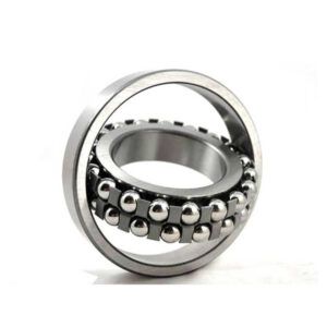 Stainless Steel Aligning Bearings