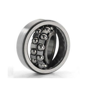 Double Row Self Aligning Bearing