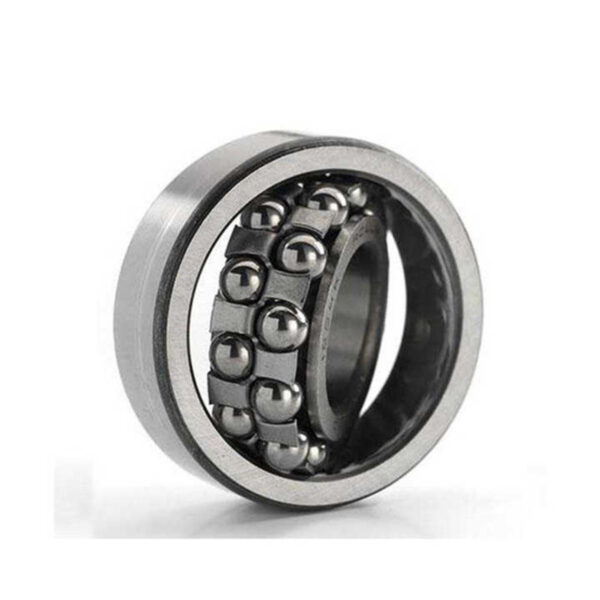 Double Row Self Aligning Bearing