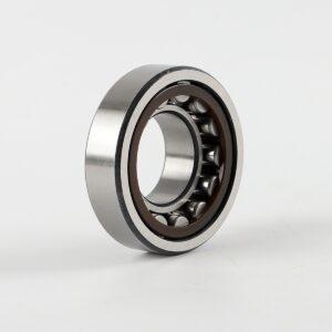50mm Radial Insert Ball Bearing