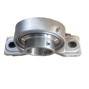 Cast Iron Flanged Beaing