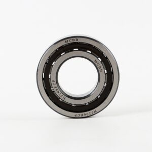 Bearing for Hydraulic Motor