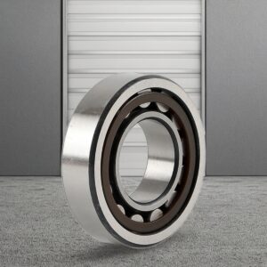 P6 Eccentric Bearing